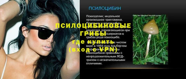 мет Арсеньев